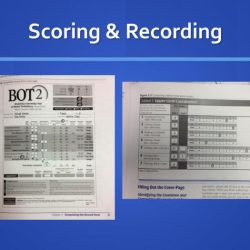 Bot scoring manual