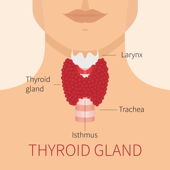 Which gland is not matched with its type of secretion